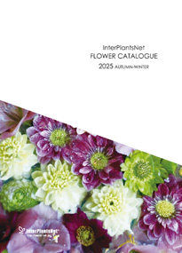 フラワーカタログ