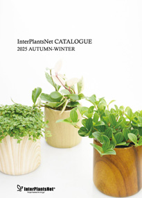 IPN & PDC カタログ