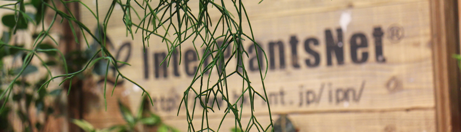 ホームユース事業部