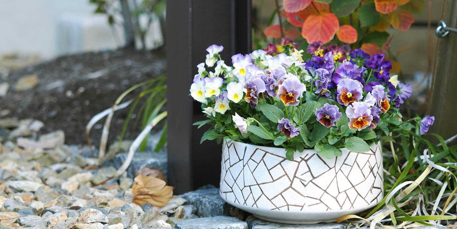 未来アグリス株式会社