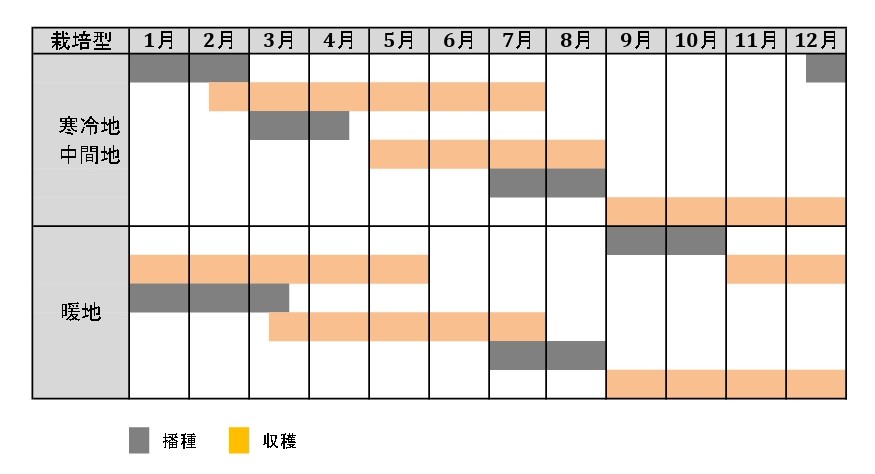 ラベルイメージ