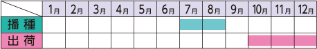 ラベルイメージ