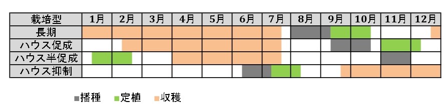 ラベルイメージ