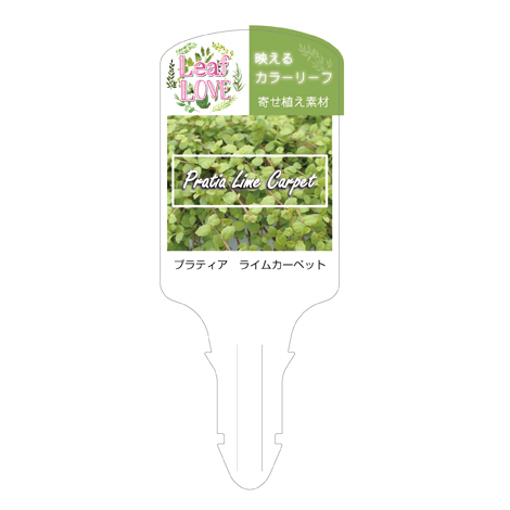 ラベルイメージ