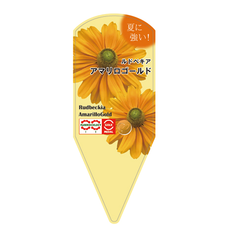 ラベルイメージ