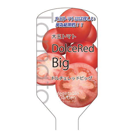 大玉トマト ドルチェレッド ビッグ｜WEBカタログ｜未来アグリス株式