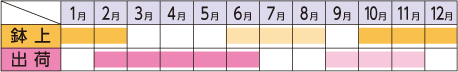 ラベルイメージ