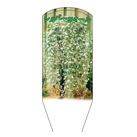 ラベルイメージ