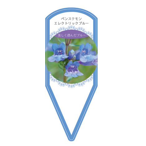 ラベルイメージ