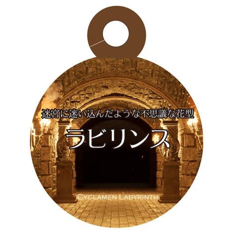 ラベルイメージ