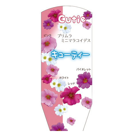 ラベルイメージ