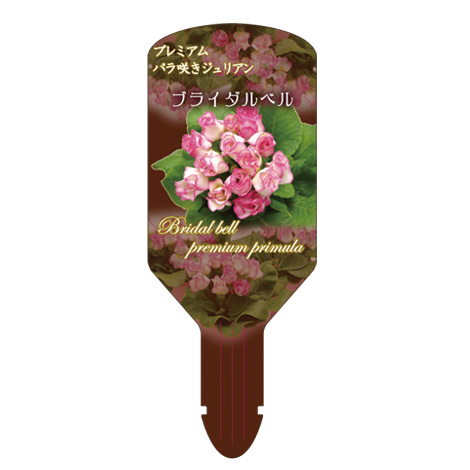 ラベルイメージ