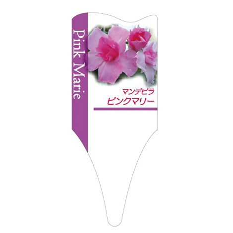 ラベルイメージ