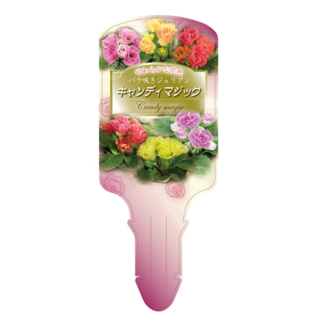 ラベルイメージ