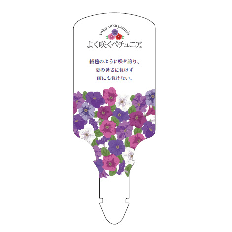 ペチュニア よく咲くペチュニア バカラiQ シリーズ｜WEBカタログ｜未来