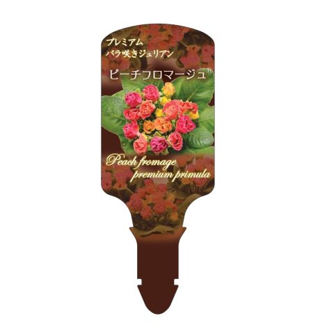 ラベルイメージ