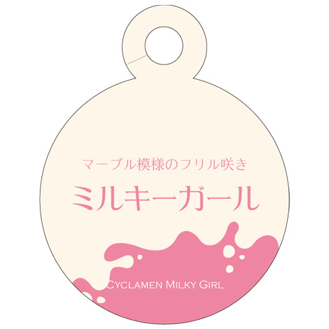 シクラメン F1 ミルキーガール｜WEBカタログ｜未来アグリス株式会社