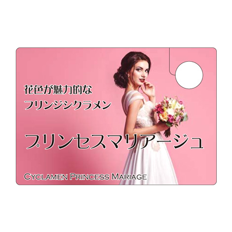 ラベルイメージ