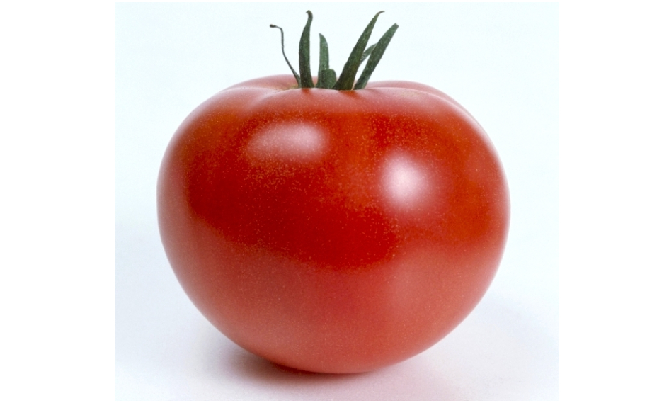 トマト ホーム桃太郎｜WEBカタログ｜未来アグリス株式会社|未来