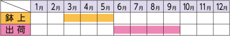 ラベルイメージ