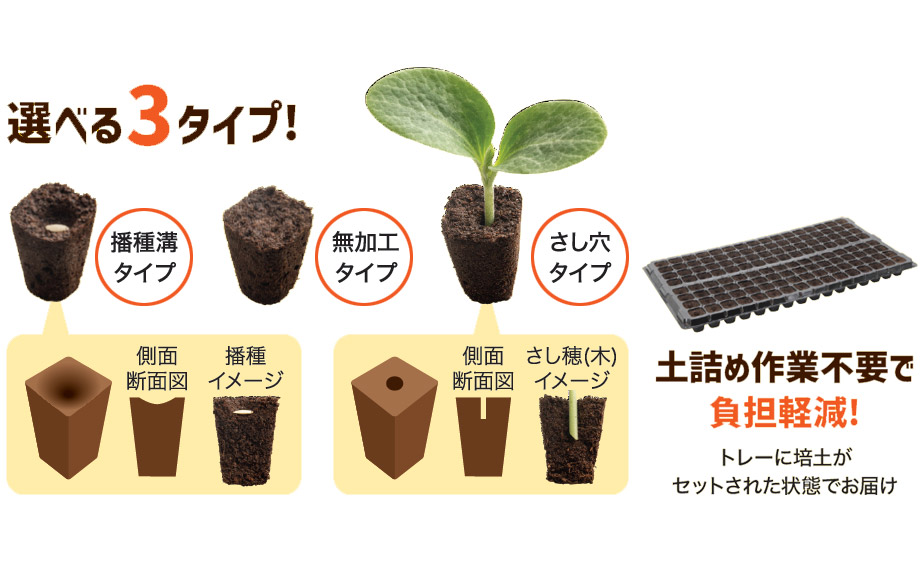 kirkxxx1 未草５種類セット◌。˚✩（開花間近 若苗&春発芽幼苗） kirkxxx1 未草5種類セット◌。˚✩（開花間近 若苗&春発芽