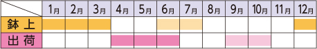 ラベルイメージ