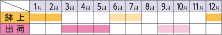 ラベルイメージ