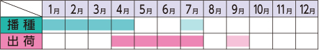 ラベルイメージ