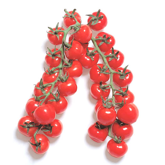 ミニトマト　CFプチぷよ シリーズ 松島交配