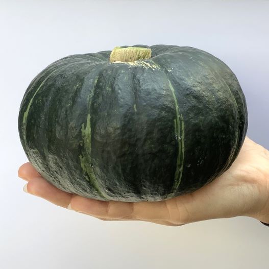 カボチャ　すずなりパンプティ 