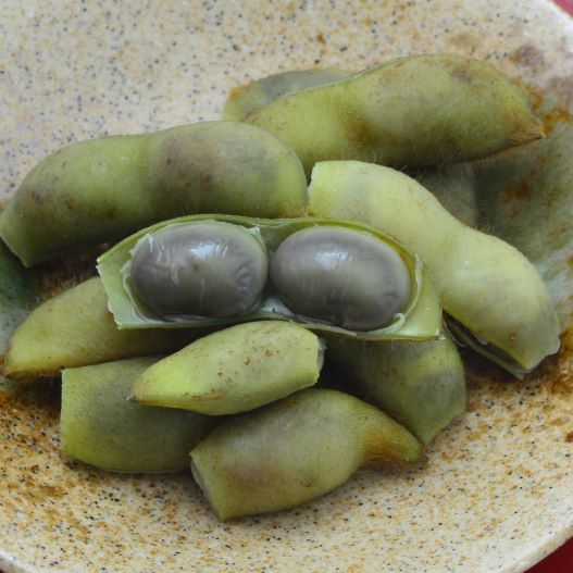 エダマメ　あまおとめ 黒太郎、茶太郎 