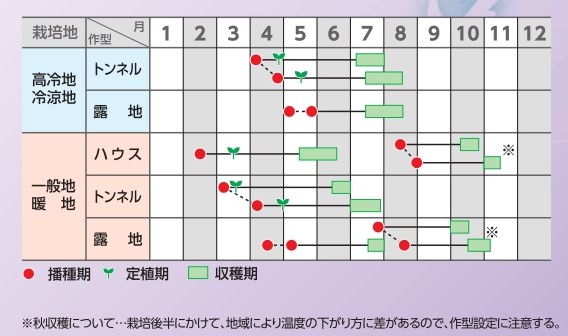 ラベルイメージ