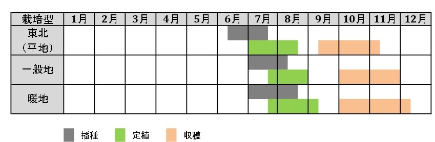 ラベルイメージ