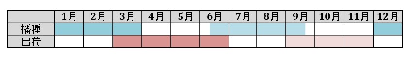 ラベルイメージ