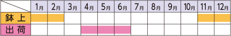 ラベルイメージ